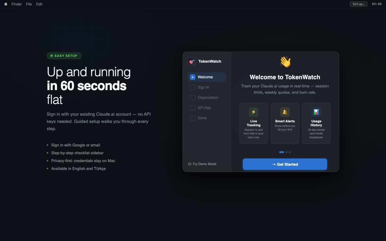 TokenWatch easy setup — sign in with Google OAuth